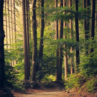 星空体育app下载下载手机版