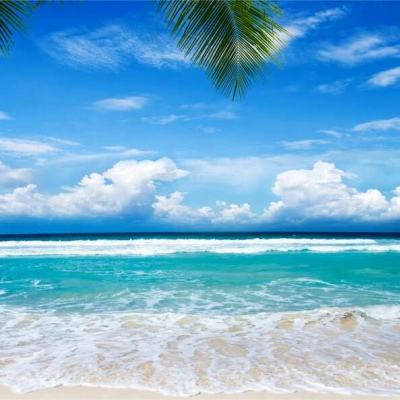 江南JNTY官网下载